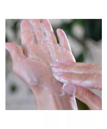 MUERI Matting enzyme powder for washing against black dots - Buy Online on GoSupps.com