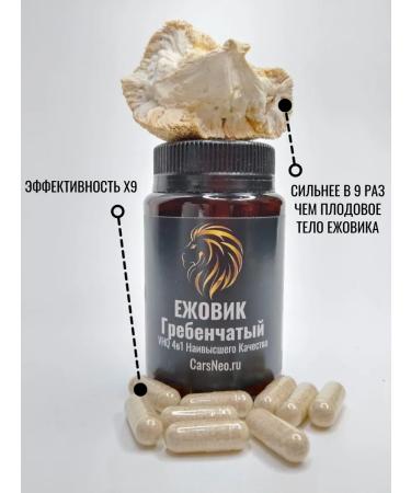 CarsNeo VHQ Ezhovik Chanceneral 4V1 with physical extract mycelium - Buy Online on GoSupps.com