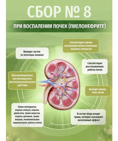 Herbs of the Caucasus Herbal collection No. 8 with kidney inflammation - Buy Online on GoSupps.com