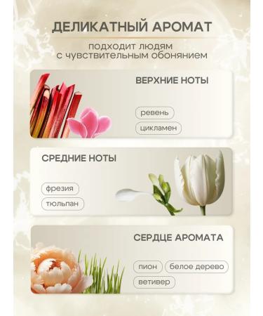 Totemica beauty Moisturizing nutrient cream for the body and hands - Buy Online on GoSupps.com