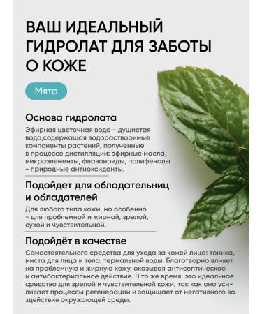 BeSage Hydrolat for face and hair moisturizing mint 100 ml - Buy Online on GoSupps.com