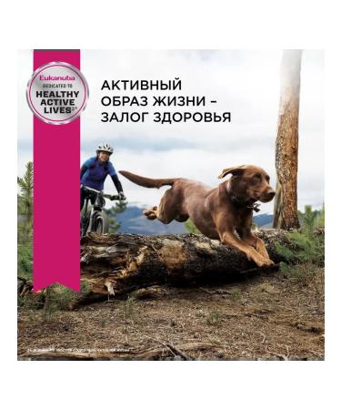 Eukanuba Dry food for adults of large dogs with a bird 3kg - Buy Online on GoSupps.com