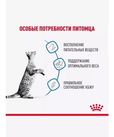 ROYAL CANIN Wet food indodor sterilizes in sauce 85 g 28 pcs - Buy Online on GoSupps.com