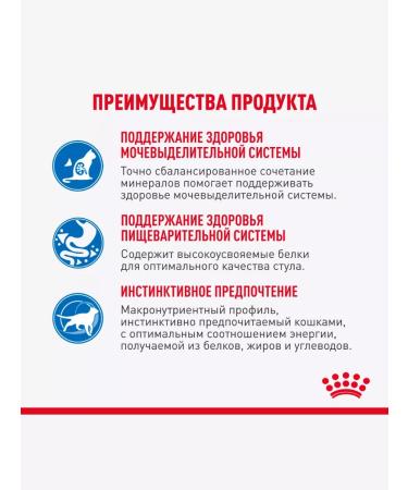 ROYAL CANIN Wet food indodor sterilizes in sauce 85 g 28 pcs - Buy Online on GoSupps.com