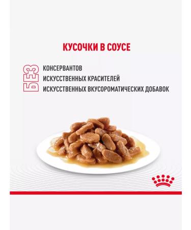 ROYAL CANIN Wet food indodor sterilizes in sauce 85 g 28 pcs - Buy Online on GoSupps.com