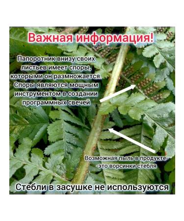 ANIRAM Ferned forest dried 25 grams - Buy Online on GoSupps.com