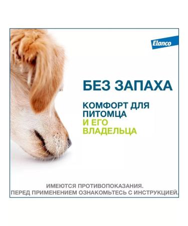 Elanco Forethromial collar for dogs less than 8 kg from ticks and fleas 38 cm - Buy Online on GoSupps.com