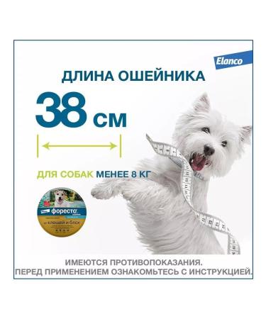 Elanco Forethromial collar for dogs less than 8 kg from ticks and fleas 38 cm - Buy Online on GoSupps.com