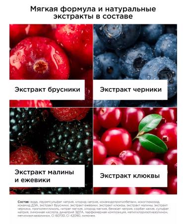 MIXIT Moisturizing shower gel JUST Forest Berries 1 liter - Buy Online on GoSupps.com