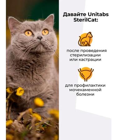 Unitabs Sterilcat vitamins for sterilized cats 120 tab - Buy Online on GoSupps.com