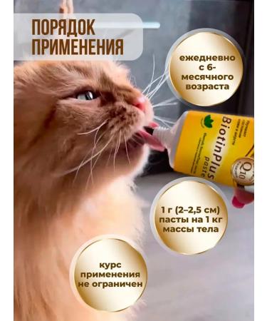 UNITABS Biotinplus paste for cats biotin Taurin 120 ml - Buy Online on GoSupps.com