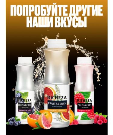 RiCHEZA Natural concentrate for sea buckthorn drinks 1kg - Buy Online on GoSupps.com