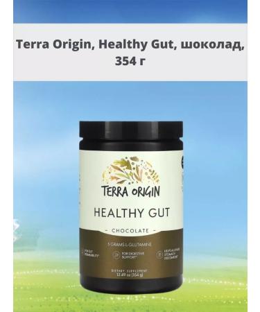 Terra origin Healthy GUT Chocolate 354 g