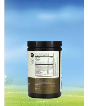 Terra origin Healthy GUT Chocolate 354 g - Buy Online on GoSupps.com