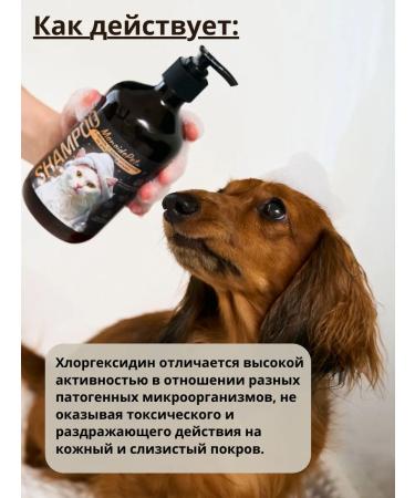 MonoidePet Chlorhexidine shampoo 4% for dogs and cats - Buy Online on GoSupps.com