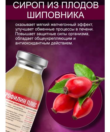 Spring of Health Gastrophilin Syrup course for stomach with rosehip - Buy Online on GoSupps.com