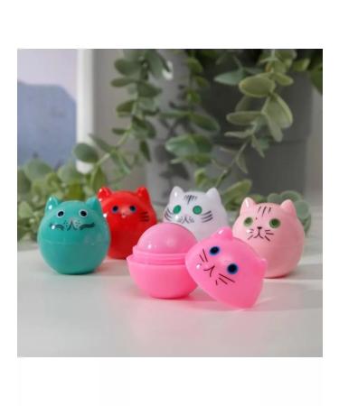 PMDK Balm for the lip children 12 g packaging 24 pcs - Buy Online on GoSupps.com