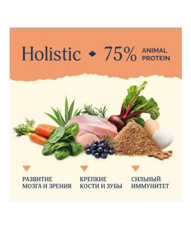 Advance Feed for puppies dry turkey rice 10 kg - Buy Online on GoSupps.com