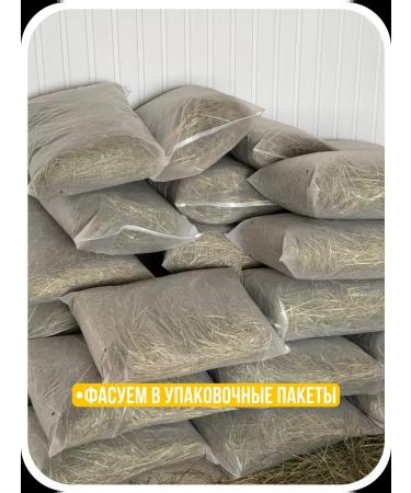 Blackcats Lugovo -pissed hay for rodents - Buy Online on GoSupps.com