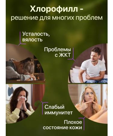 HealthEssence Chlorophyll liquid dietary blackcurrant-grinding for weight loss - Buy Online on GoSupps.com