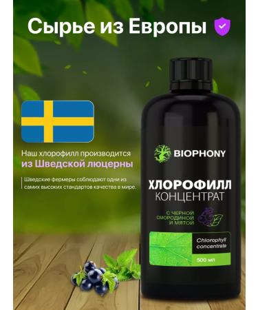 HealthEssence Chlorophyll liquid dietary blackcurrant-grinding for weight loss - Buy Online on GoSupps.com