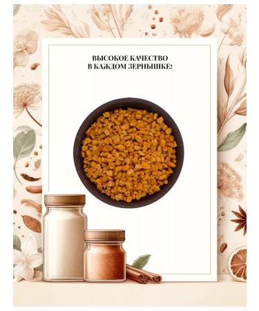 KIN Cenceter Semyon 330g Shambhala - Buy Online on GoSupps.com