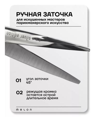 Melon Pro Hairdressers professional scissors 6.0 for haircuts - Buy Online on GoSupps.com