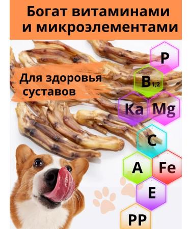 Snackdogs Duck paws for dogs for dogs - Buy Online on GoSupps.com