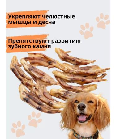 Snackdogs Duck paws for dogs for dogs - Buy Online on GoSupps.com