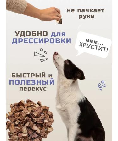 Snackdogs Treats for dogs beef light - Buy Online on GoSupps.com