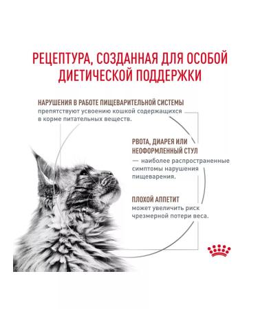 ROYAL CANIN GastroinTestinal feed Wet (spider) for cats 28*85 gr - Buy Online on GoSupps.com