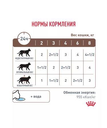 ROYAL CANIN GastroinTestinal feed Wet (spider) for cats 28*85 gr - Buy Online on GoSupps.com