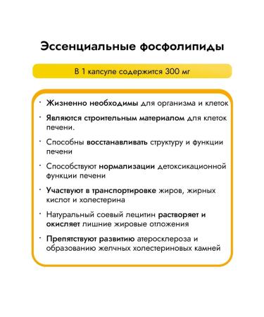 Livesil Essential phospholipids metionine cane for the liver - Buy Online on GoSupps.com