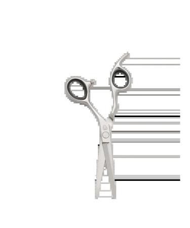 Melon Pro Hairdressers professional scissors 5.5 for haircuts - Buy Online on GoSupps.com