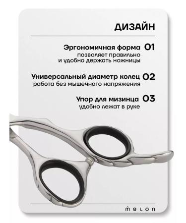 Melon Pro Hairdressers professional 6.5 haircuts for haircuts - Buy Online on GoSupps.com