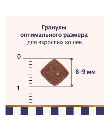 Taormina Dry feed Alpine Meadow for cats lambs 4 kg - Buy Online on GoSupps.com