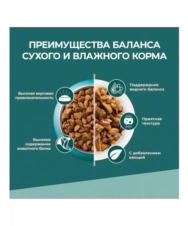 PURINA ONE Spirulina cat food 0.68 kg - Buy Online on GoSupps.com