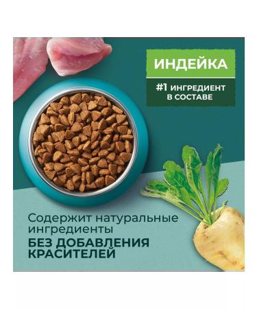 PURINA ONE Spirulina cat food 0.68 kg - Buy Online on GoSupps.com