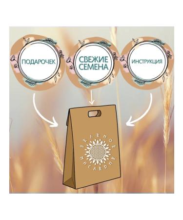 Green Legacy Ashvagandha seeds (lat. Withania somnifera) 15 pcs - Buy Online on GoSupps.com