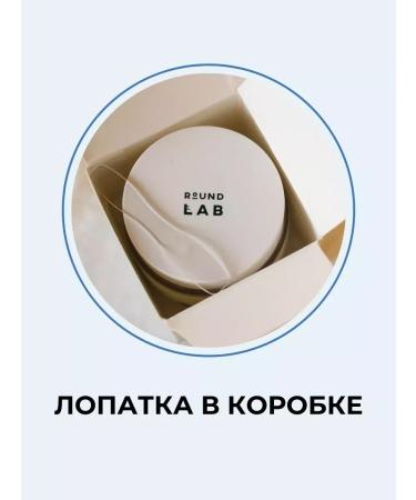 round lab Moisturizing face cream with birch juice + SPF gift - Buy Online on GoSupps.com