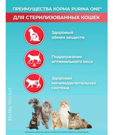 PURINA ONE Cat for cats dry 1.5 kg for sterilized with salmon - Buy Online on GoSupps.com