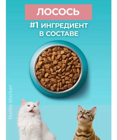 PURINA ONE Cat for cats dry 1.5 kg for sterilized with salmon - Buy Online on GoSupps.com