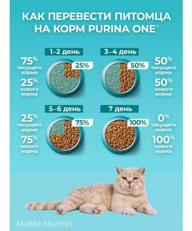 PURINA ONE Cat for cats dry 1.5 kg for sterilized with salmon - Buy Online on GoSupps.com
