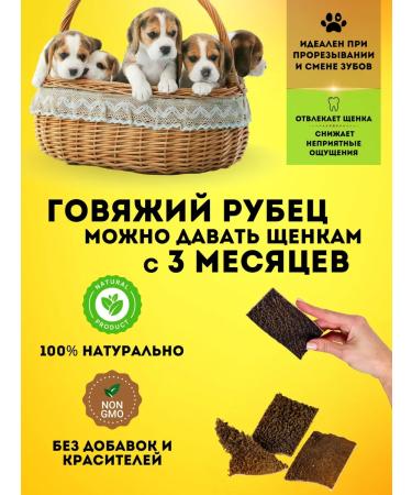 Hashtag SHUBEC BUCK TREATION FOR DOGS 200 gr - Buy Online on GoSupps.com