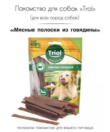 Triol Beef a treat for dogs 70g
