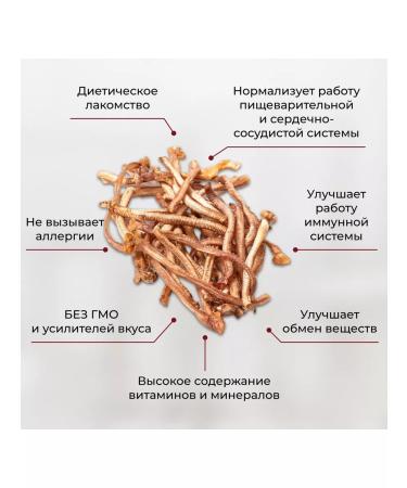 Golodog Yummy for dogs and cats. Trache of duck 100g - Buy Online on GoSupps.com