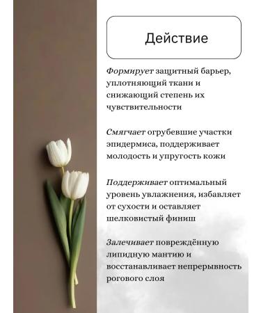 Skin1004 Probiotic cream 50 ml - Buy Online on GoSupps.com