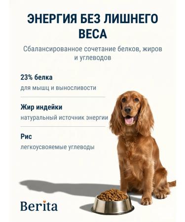 BERITA Dry food for dogs with fish 10 kg - Buy Online on GoSupps.com