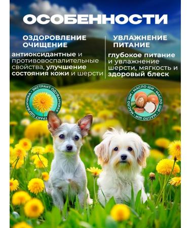 Biovax Shampoo for decorative dogs 355 ml - Buy Online on GoSupps.com