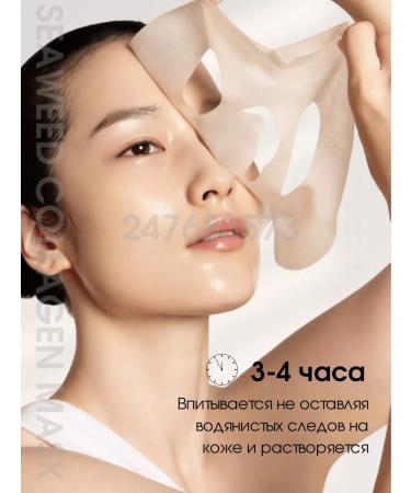 BIODANCE Hydrogel face mask with collagen moisturizing spa - Buy Online on GoSupps.com